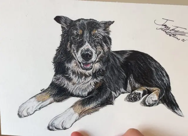 Drawing of a black, tan and white collie dog lying on its side